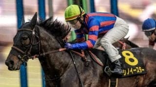 【京阪杯予想】都開催の掉尾を飾るスプリント戦 勝利をつかむのはどの快速馬か