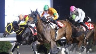 【高知・浦戸湾特別】7番人気リーチアディールが差し切りV…高知転入後初の準重賞制覇