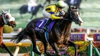 【ジャパンC予想】鉄板パターンは今年も継続? 過去データで探るGIジャパンC