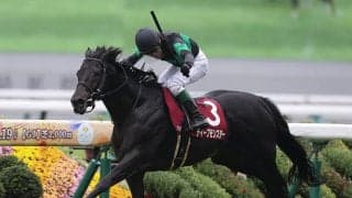 【競馬予想】上位混戦のジャパンカップ　人気馬の間隙を突く可能性がある穴馬候補は２頭いる