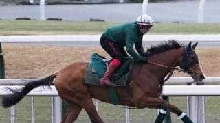 【競馬予想】ジャパンカップに挑む「大物」外国馬カランダガン　欧州最強馬の称号は本物か
