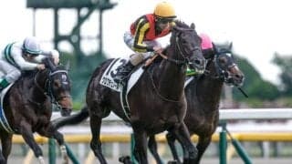 ジャパンC当日の東京芝は内外フラット 展開が大きなカギに