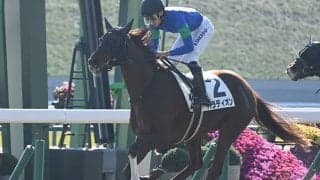 【京都6R新馬戦結果】レイデオロ産駒パラディオンが断然人気に応えてV