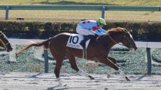 【新馬/東京5R】マーカンド騎乗 エジプシャンマウがデビューV