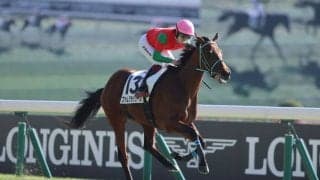 【東京4R】ファムクラジューズが３馬身半差完勝…断然人気アイムインは2着