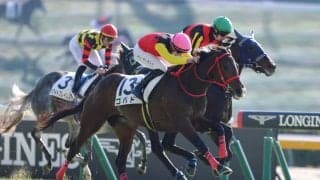 【東京2R】単勝1.1倍アウダーシアは2着…トーセンラー産駒ゴバドがV