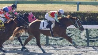 【東京1R】柴田善臣が連日の勝利…最年長勝利記録を1日更新