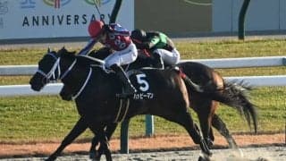 【JRA・WIN5】本日のWIN5は的中14票、配当3957万9170円