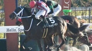 【オータムリーフS結果】9番人気ハッピーマンが叩き合いを制してV