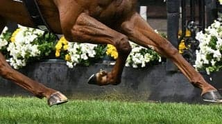 ジャパンC直後…競馬場に現れた球界大物「マジかよ」　ひと際目立つスタイル「カッコよすぎ」