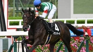 【阪神JF】アランカール、ショウナンカリスらが登録