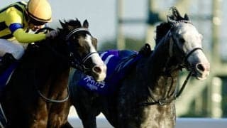 【ジャパンカップ】アドマイヤテラはスタートで落馬、2、3着馬はゴール入線後放馬と波乱…欧州年度代表馬カランダガンがV