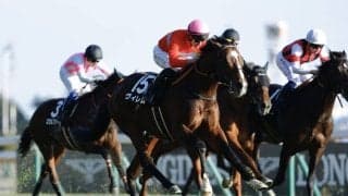 【ウェルカムS】マーカンド騎乗 ヴィレムが人気に応える