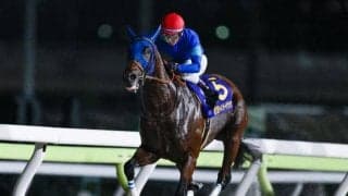 秋のダート王決定戦チャンピオンズCなど3重賞/今週の競馬界の見どころ