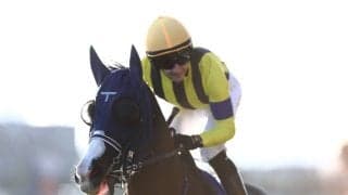 【ジャパンカップ】ルメール「少し内へもたれた」レース後ジョッキーコメント