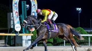 【佐賀・フォーマルハウト賞】佐賀から“怪物候補”誕生…サキドリトッケンが圧巻V