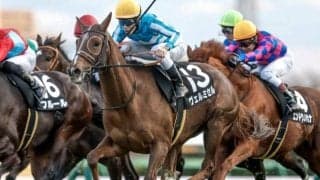 【ステイヤーズS見どころ】ヴェルミセルが重賞初制覇を狙う