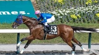 【チャンピオンズC見どころ】破竹の勢いナルカミが連勝を伸ばす