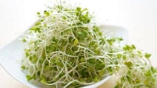 栄養満点！スプラウトの種類とおすすめの食べ方