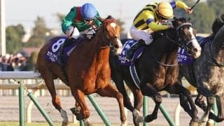 【ジャパンC】「どんなジョッキーカメラより熾烈」各馬のポジション争いにファン熱狂「バッチバチの競り合い」