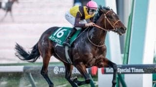 【チャンピオンズC想定騎手】ルクソールカフェはジェルー騎手、ダブルハートボンドは坂井瑠星騎手