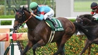 【鳴尾記念想定騎手】オールナットは北村友一騎手、グランヴィノスは川田将雅騎手