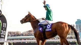 【ジャパンC】売上は260億814万3100円で昨年より約16.4億円の大幅増