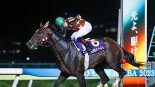 【大井・勝島王冠枠順】復活期す南関東三冠馬ミックファイアは3枠3番