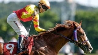 【先週のJRA抹消馬】重賞5勝のトウシンマカオ、ダートで活躍のロコポルティなど