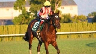 【京阪杯】売上は56億9522万9800円で昨年より約6.4億円増加