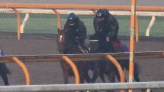 ドヴィーグランが日曜阪神で初陣 友道師「体幹がしっかりしている」/関西馬メイクデビュー情報