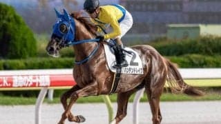 【大井・ジェムストーン賞枠順】重賞2着のハンデンドレイクは8枠15番