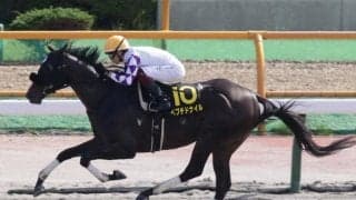 【AI予想・チャンピオンズC】優れた先行力が魅力の本命候補！ 近年の傾向からもチャンスは十分