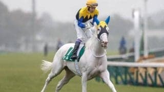 【阪神JF出走馬決定順】フルゲート18頭に26頭が登録 収得賞金400万円の馬で「15分の7」抽選