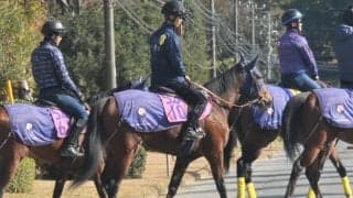 いとこにシュネルマイスター セリエンクーニゲンが日曜中京で初陣/関東馬メイクデビュー情報