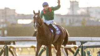 レコードでジャパンC制したカランダガン 高速馬場に対応できた理由は血統にあり