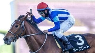 【ステイヤーズS展望】好走データ合致でホーエリートが重賞初制覇へ