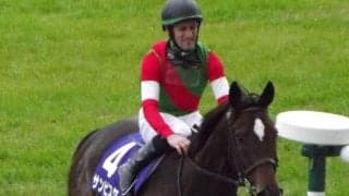 M.デムーロ騎手のJRAダート重賞初制覇 サンビスタのチャンピオンズC牝馬初の勝利からちょうど10年