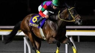 【チャンピオンズC】国分優作騎手が3年ぶりのJRA・GI参戦 テンカジョウで波乱呼ぶか