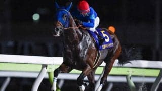 【チャンピオンズC予想オッズ】ナルカミが予想1番人気