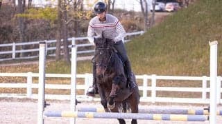 ダンビュライトやオーソクレースも！ RRCで躍動する「オールド・フレンズ・ジャパン」所属馬の秘密