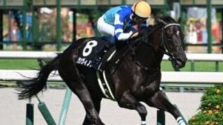 【鳴尾記念予想オッズ】グランヴィノスが予想1番人気