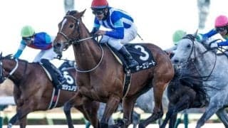 【ステイヤーズS予想オッズ】ホーエリートが予想1番人気