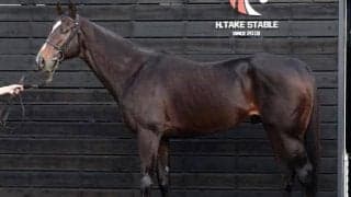 一変の可能性十分 馬体派記者が「昨年以上」と高評価したチャンピオンズCの伏兵とは