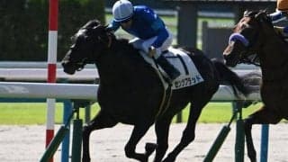 【鳴尾記念展望】唯一の3歳馬センツブラッドが重賞初制覇を狙う