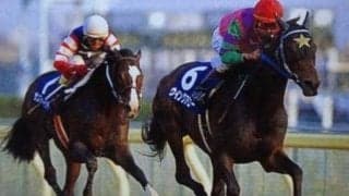 第1回JCダートで突き抜けたウイングアロー 圧巻の3馬身半差Vで“春秋制覇”