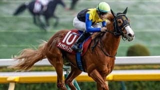 【朝日杯FS想定】ダイヤモンドノットやアドマイヤクワッズなど9頭