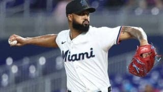 ドジャースに“元CY賞右腕”獲得を提案「この10年を通してWSのタイトルを防衛できる」米記者が主張