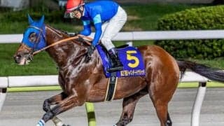 【チャンピオンズC】今年も田中博康厩舎×ゴドルフィンに要注目 ナルカミが6年ぶりの3歳馬Vなるか