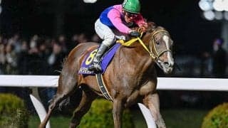 【チャンピオンズC】武豊騎手が18年ぶり5勝目なるか 古豪メイショウハリオと初タッグ